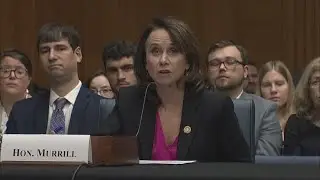 AG Liz Murrill testifies on mail-order abortion pills in Washington D.C.
