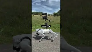 Pies za 20000zł! 🐕 kt&oacute;ry nie szczeka i nie sika! #ai #ciekawostka #sztucznainteligencja #robot