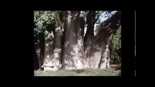 South Rhodesia