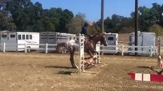 Cato and I Matt brown clinic