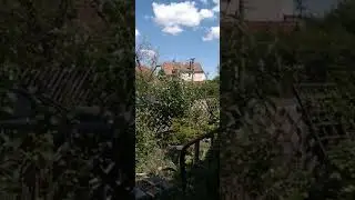 Sirenenprobe 2.7.2022 Schloss Eschenau [Mittelfranken]