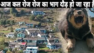 आज कल रोज रोज जाना पड़ रहा है कही ना कही ♥️