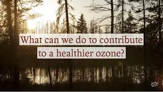 How can you help to preserve and protect the ozone layer?