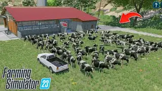 100+ Cow's Feeding & Milk Delivered Dairy In Fs23 | Farming Simulator 23 | Timelapse |