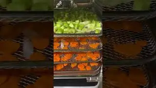 Dehydrating vegetables carrots & celery #asmr #vegetables  #trending
