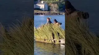 #If you want to go duck hunting, this is the best way to camouflage your boat