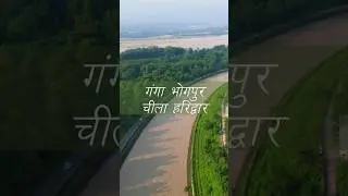 #चीला #हरिद्वार #kodiya #chila #rajajinationalpark #maavindhyavasini #droneswarm #exploreuttarakhand