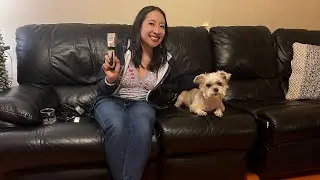 oneisall Dog Shaver Clippers Low Noise Rechargeable Electric Clippers Set For Dogs & Cats