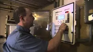 A Look Into Modern Hog Production