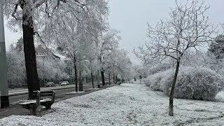 Snowfall in Prague #viral #travel #shorts #ytshorts #explore #europe #fairytales#artihcbeautyofworld