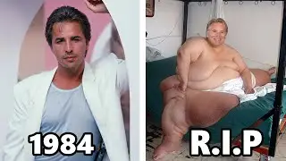 Miami Vice (1984) Cast: Then and Now 2023 Who Passed Away After 39 Years?