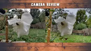 Surface Duo 2 vs Surface Duo camera review (photography)