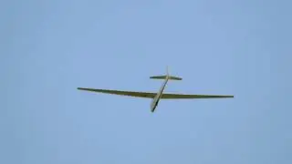 SZD 9 Bocian