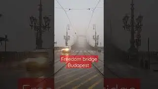Freedom bridge #shorts #newvideo #subscribe #freedom #bridge