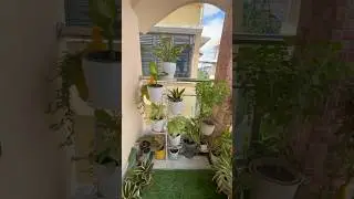 Small balcony decor ideas || Balcony Makeover with indoor plants 🪴#trendingshorts