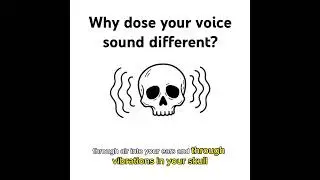 why dose your voice sound different when recorded? #animation #stickmanstories #scishorts #simple