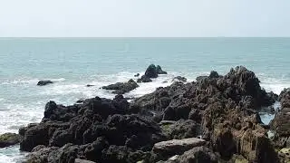 oi 27