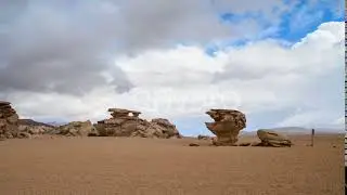 Famous Bolivian Stone Tree | Stock Footage - Videohive