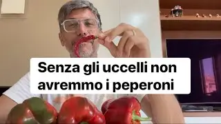 Senza gli uccelli, non avremmo i peperoni ￼