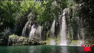 Tropical Summer vibes background - 1 hour long - Chill music/party