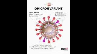 Omicron Variant In India | All You Need To Know About Covid New Variant | Shorts | CNN News18