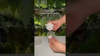 Never Get Left in the Dark Off-Grid Lighting That Just Works