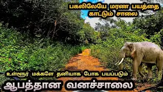 பகலில் கூட உள்ளூர் மக்களே தனியாக போக பயப்படும் ஆபத்தான வனச்சாலை Sathyamangalam Tiger Reserve Forest 