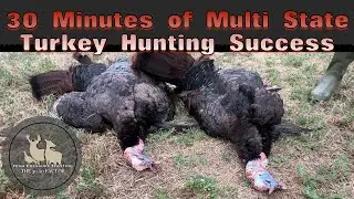 30 Minutes of Multi State Turkey Hunting Success