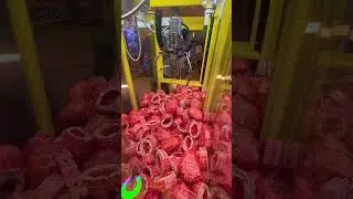 Timezone tickets winning trick🤑 #arcade #clawmachine #timezone #arcadegames