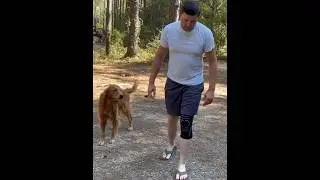 Stronger Knees, Greater Comfort &mdash; Meet Cambivo&rsquo;s Stabilizing Knee Sleeve