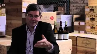 Canopy management in an organic vineyard in Burgundy