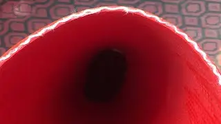tpu pu coated lay flat hose making machine|pu tpu fiber reinforced lay flat hose machine
