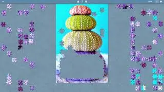 Relaxing Music With Sea Urchin Stack Puzzle #564