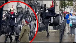 Horse RUNS OUT of Box, Lady Guard's Incredible Horsemanship SHOCKS Everyone.
