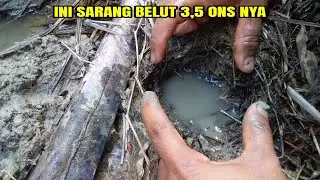 Mancing Belut Di Kanal/Parit Sawit Cuman 9 Menitan Dapat Banyak