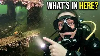Exploring Wraysbury Lake | Scuba Diving UK