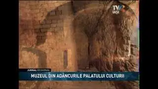 MUZEUL DIN ADINCURILE PALATULUI CULTURII