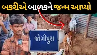 Bodeli નાં જોગીપૂરા ગામમાં બકરીએ બાળકને જન્મ આપ્યો