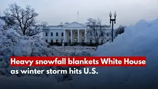 Heavy snowfall blankets White House as winter storm hits U.S.