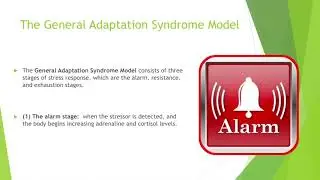 Stress and Occupational Health Psychology Lecture (I-O Psych, 310)