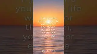 Enjoy the sunshine #quotes #life #quoteoftheday