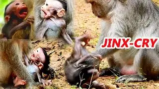 BABY JINX CRY LOUD BY OWN MOM // WHAT OLD MOM JADE D0 BAD TO HER BABY JINX LIKE THIS