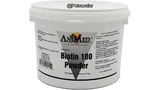 Отзыв о препарате AniMed Biotin 100 5 lbs: стоит ли он своих денег для здоровья шерсти, кожи и ко...