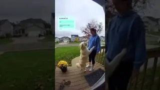 Friendly Neighborhood Dog