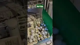 using a dishwasher to wash golf balls. what do you think? #golf #golfballs