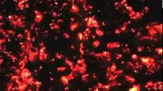 Four elements Fire HD background loop
