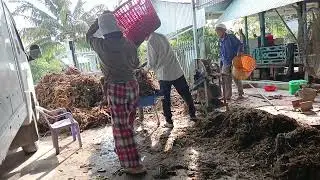 Buổi Sáng Của Đội Bào Mướp Gai