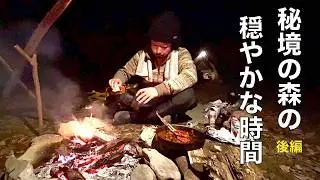 寒夜の森で静けさを味わうソロキャンプ|焚き火の温もりに癒される夜