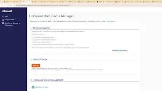 The Number #1 Reason Why Shared Hosting Plans are Not Worth Your Time and Money