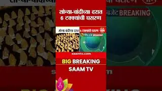 सोन्या-चांदीच्या दरात 6 टक्क्यांची घसरण | Silver | Gold Rate